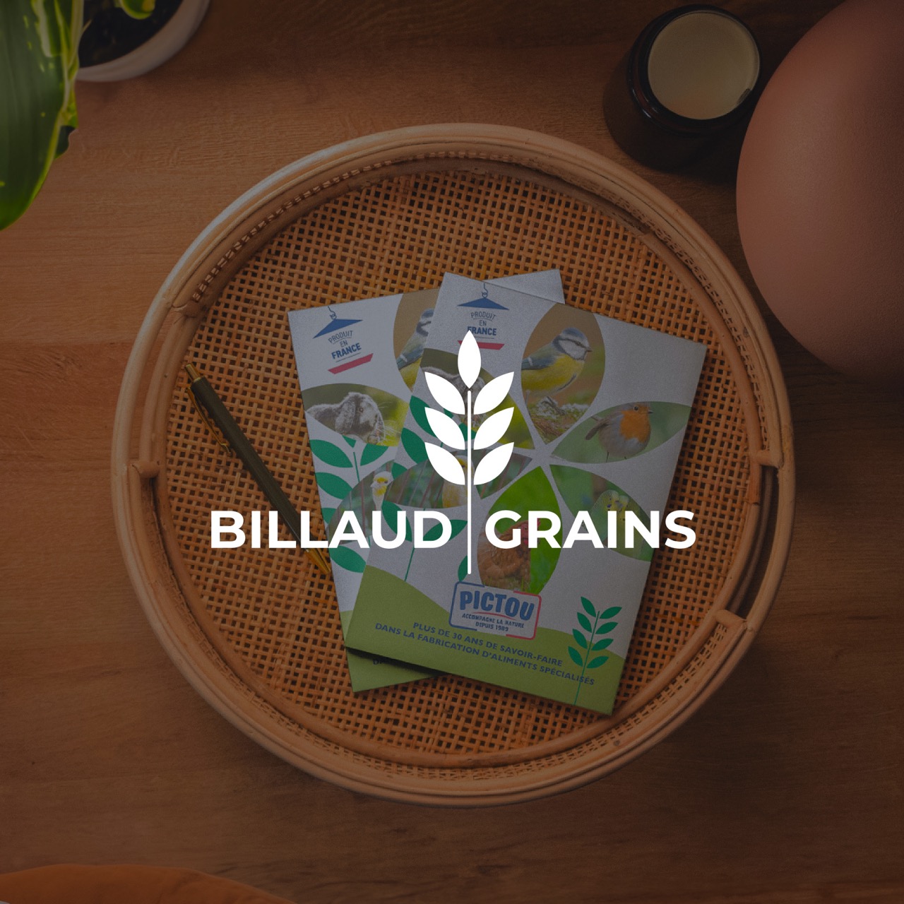 Logo Billaud grains