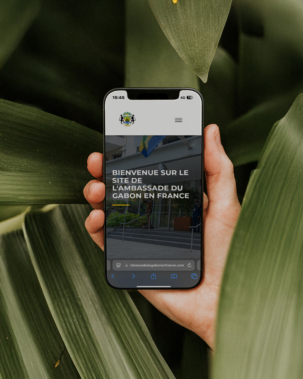 Site web ambassade