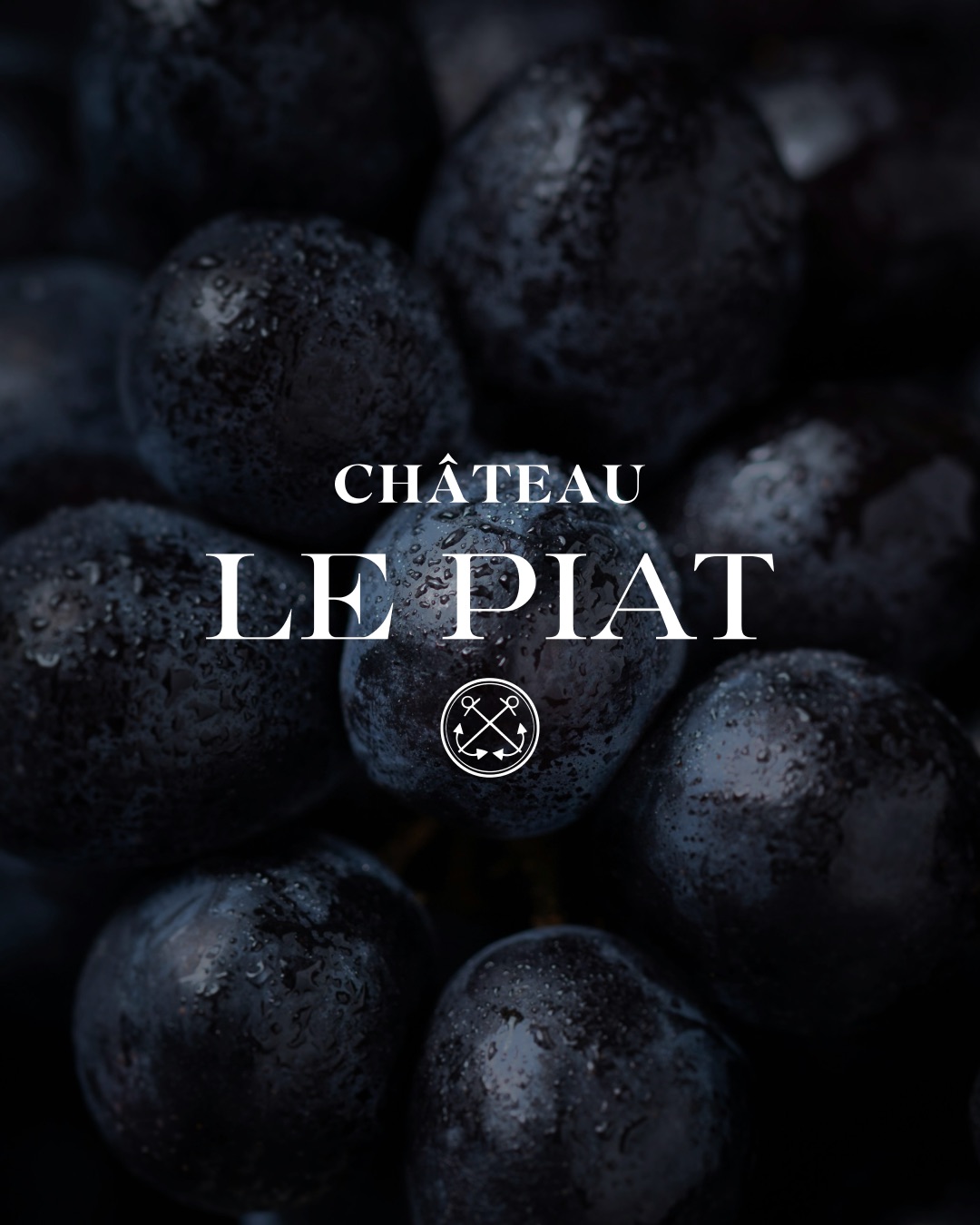 chateau le piat